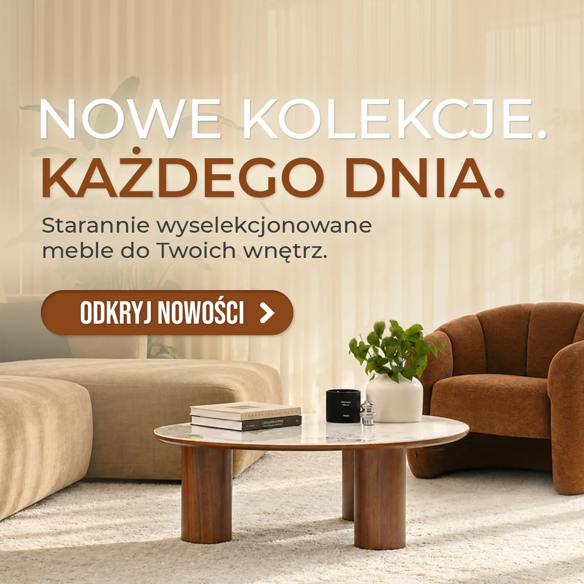 Zobacz nasze promocje i Nowości